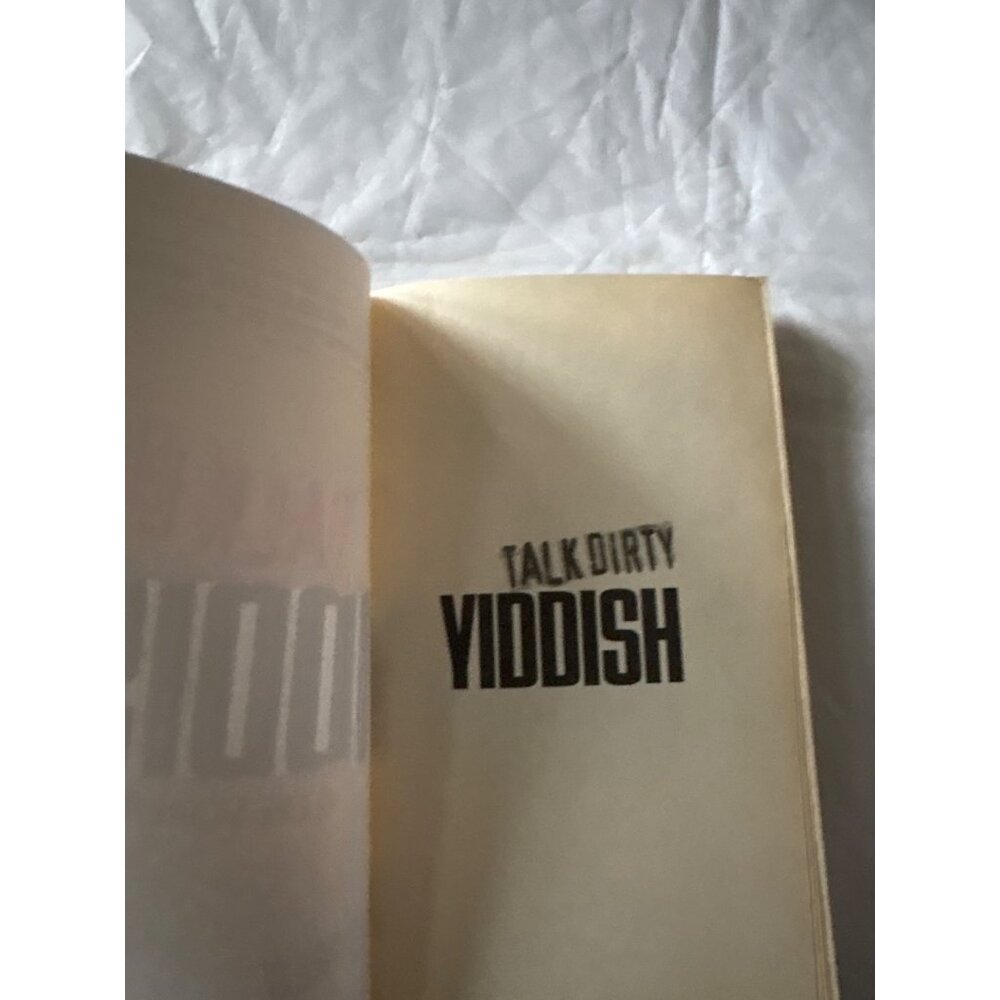 Talk Dirty Yiddish Uncensored By Ilene Schneider Funny Language Guide Paperback - Picture 2 of 12